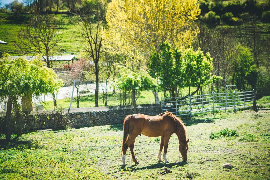 Intrepid Hotel Rural - Adults Only Pi エクステリア 写真